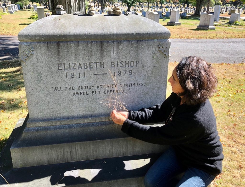 Tributo a Elizabeth Bishop.